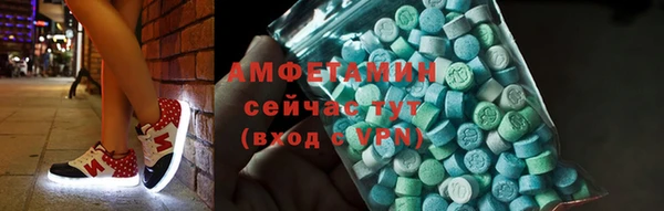 прущие грибы Магас