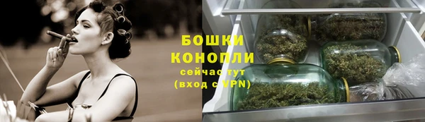 Альфа ПВП Магадан