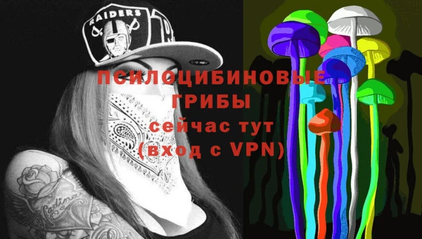 Альфа ПВП Магадан