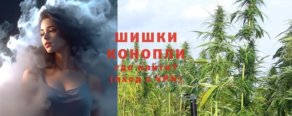 Альфа ПВП Магадан