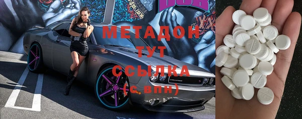 прущие грибы Магас
