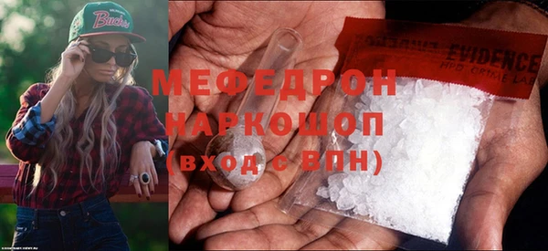 прущие грибы Магас