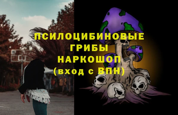 прущие грибы Магас