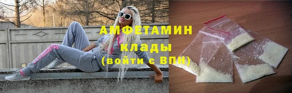 прущие грибы Магас
