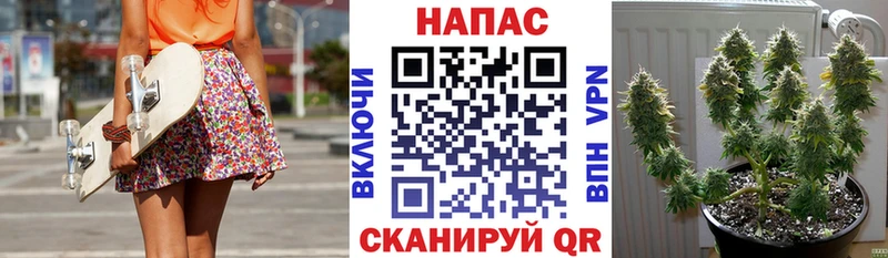 Бошки Шишки тримм  Медвежьегорск 